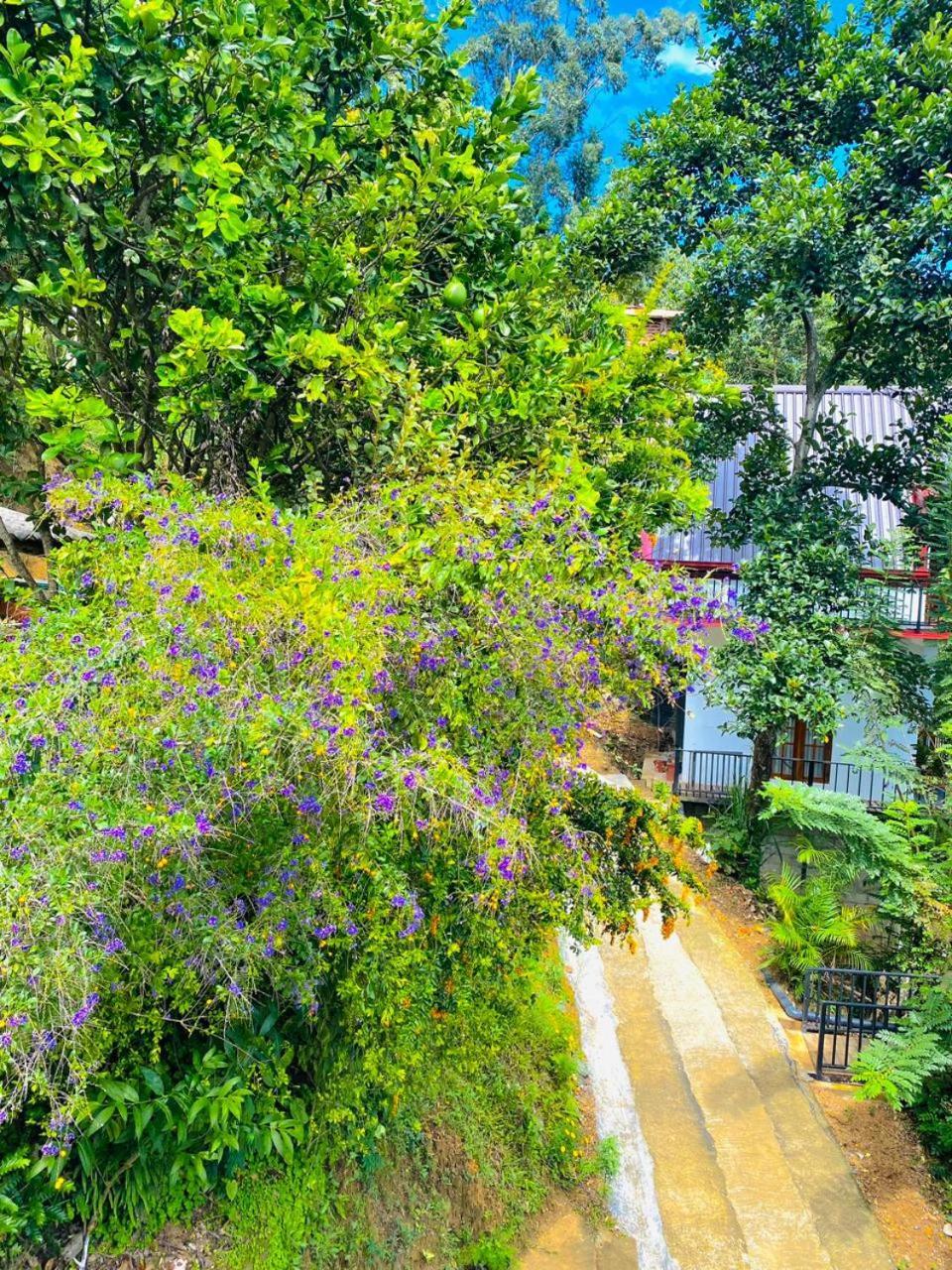 Cloudy Hill Cottage Ella Bagian luar foto